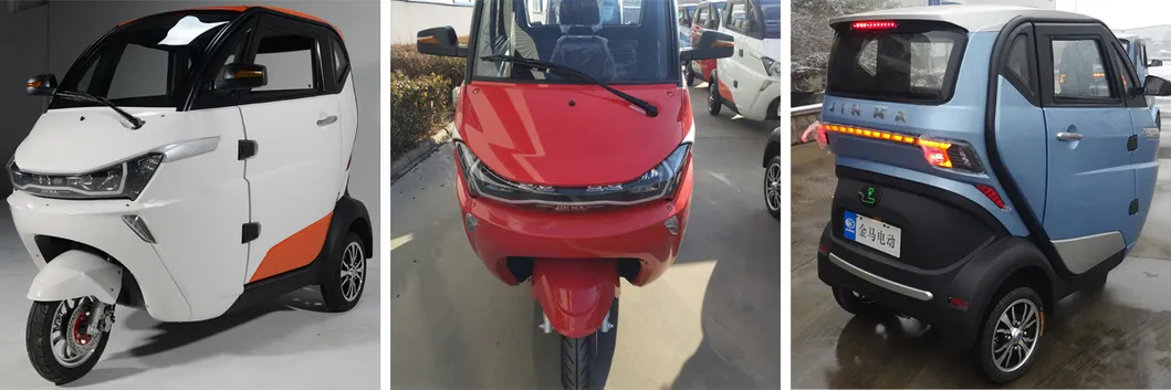 3 Wheel Electric Car with EEC Certificate for European Markt