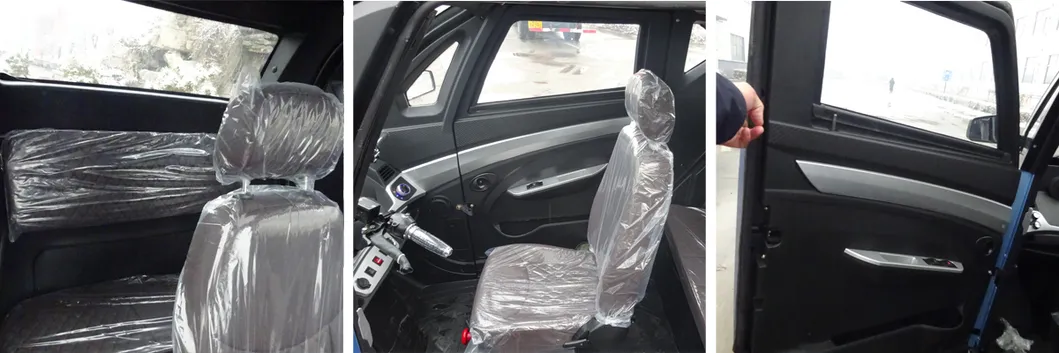 3 Wheel Electric Car with EEC Certificate for European Markt