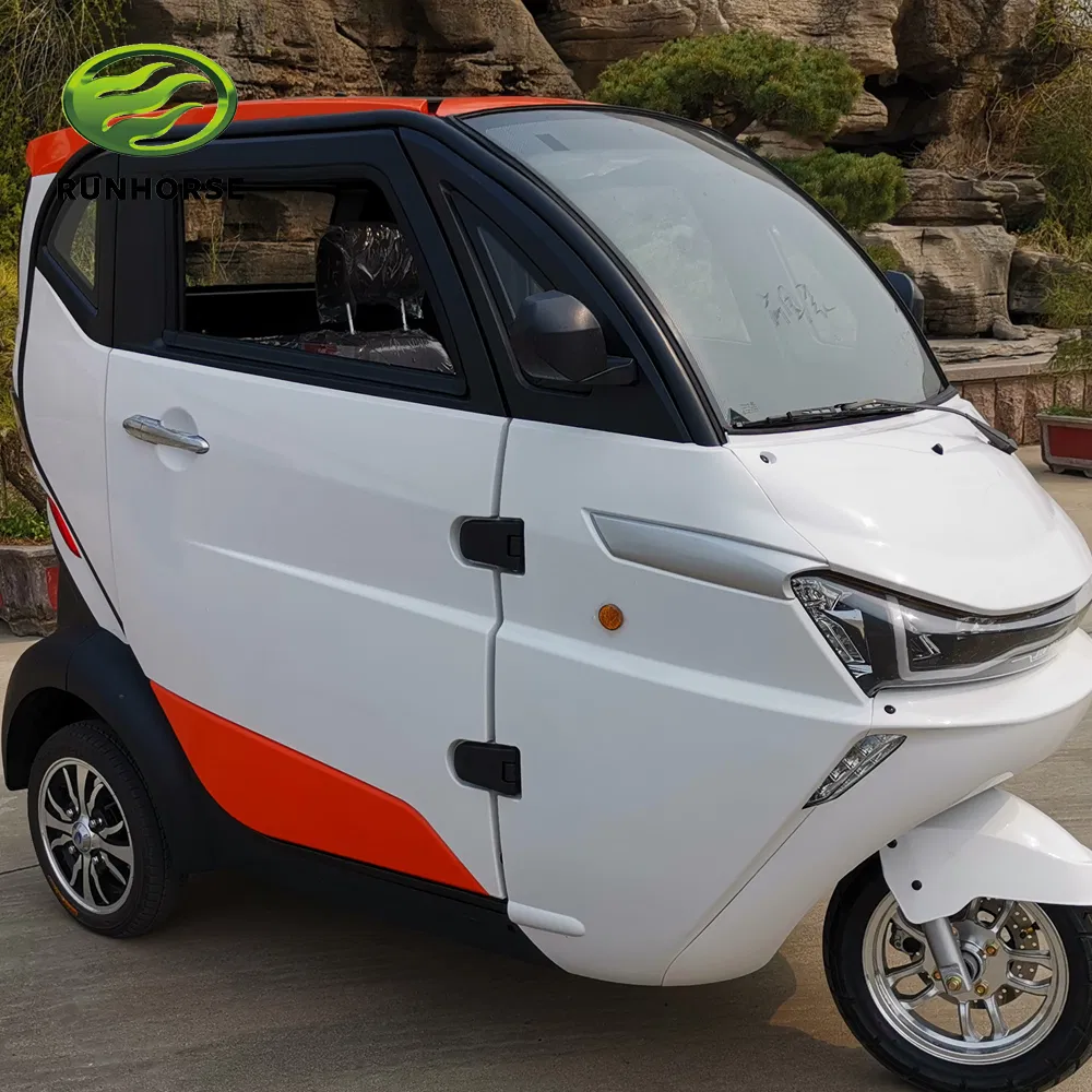 3 Wheel Electric Car with EEC Certificate for European Markt