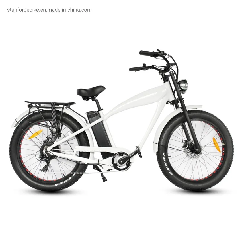 48V 500W Motor 15ah Aluminum Frame 20 Inch Stf-4 Folding Electric Bicycle