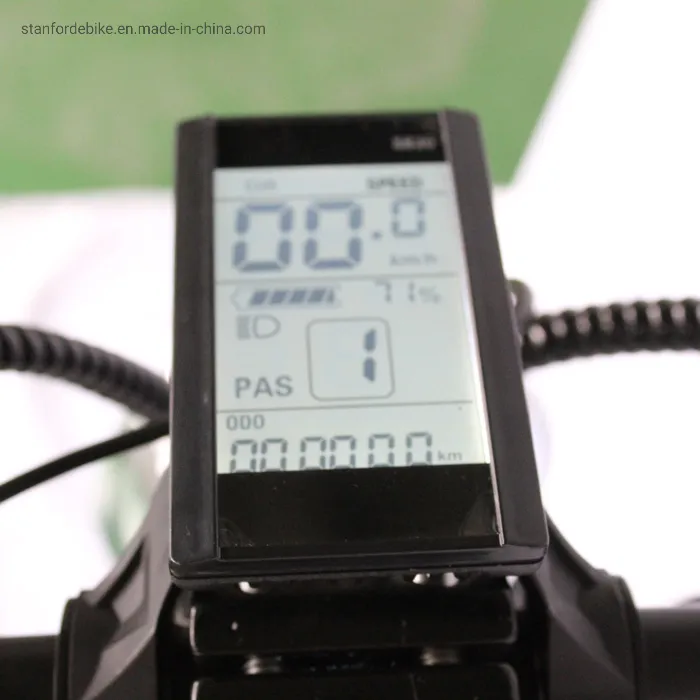 48V 500W Motor 15ah Aluminum Frame 20 Inch Stf-4 Folding Electric Bicycle