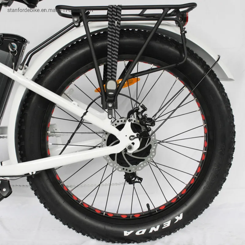 48V 500W Motor 15ah Aluminum Frame 20 Inch Stf-4 Folding Electric Bicycle