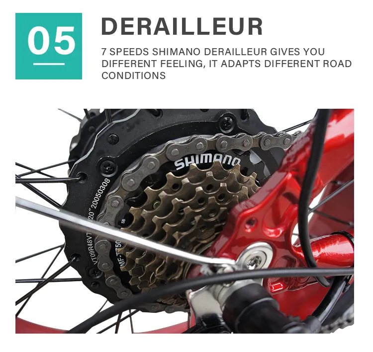 48V13ah 750W Motor City Lightweight Electric Assist Bike PAS Range 80km