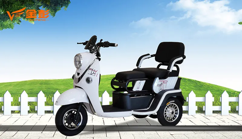 60V 500W Fat Tire Folding 3 Wheel Electric Rickshaw