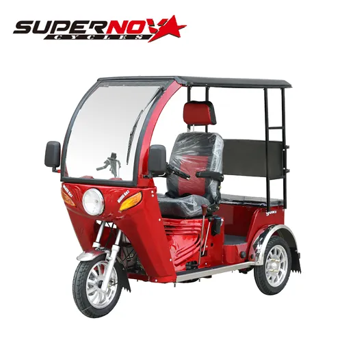 70/110cc Handicapped Tricycle for Adults (DTR-6)