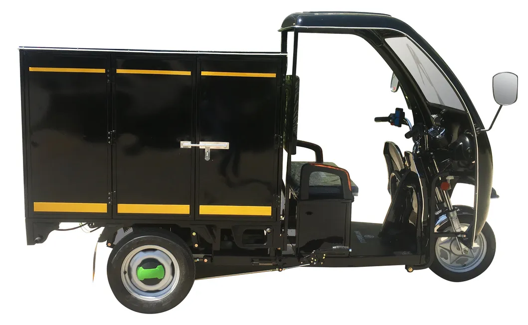 800W Battery Powered Express Delivery Tricycle