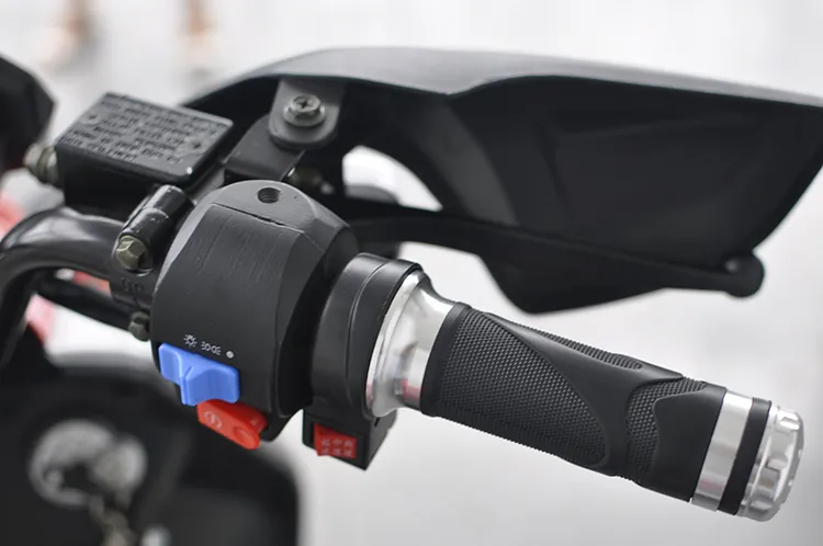 Adult Electric Racing Motorcycle (EM-001)