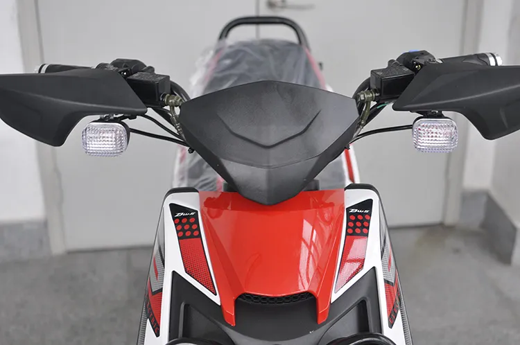 Adult Electric Racing Motorcycle (EM-001)