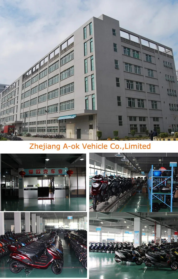 Adult Electric Racing Motorcycle (EM-001)