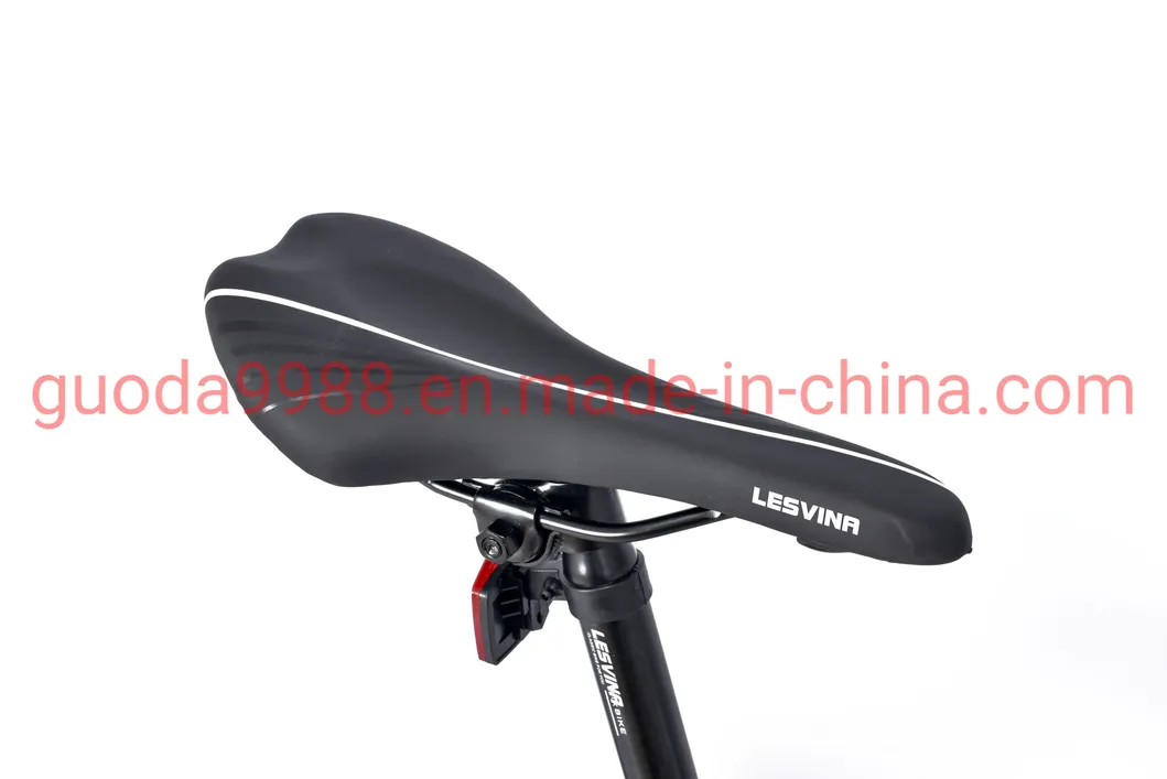 Al Alloy Frame Road Bicycle Rdb Disc Brake for Adult