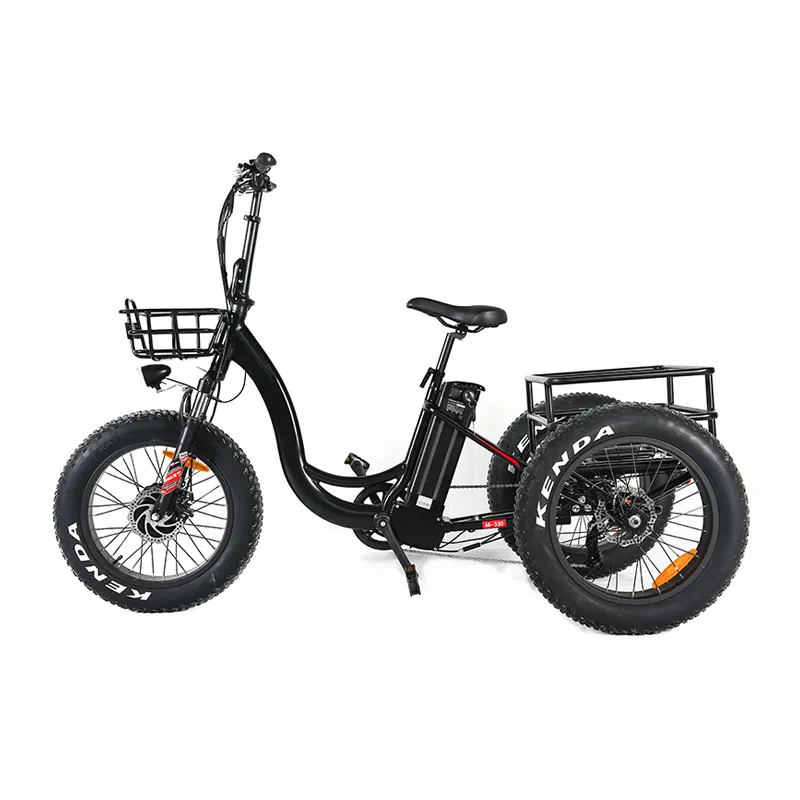 Aluminum Alloy 3 Wheel Fat Tire 48V 500W 750W Front Wheel Hub Motor Electric Tricycle