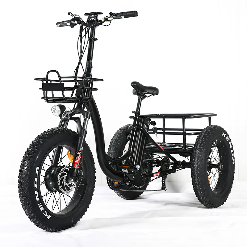 Aluminum Alloy 3 Wheel Fat Tire 48V 500W 750W Front Wheel Hub Motor Electric Tricycle