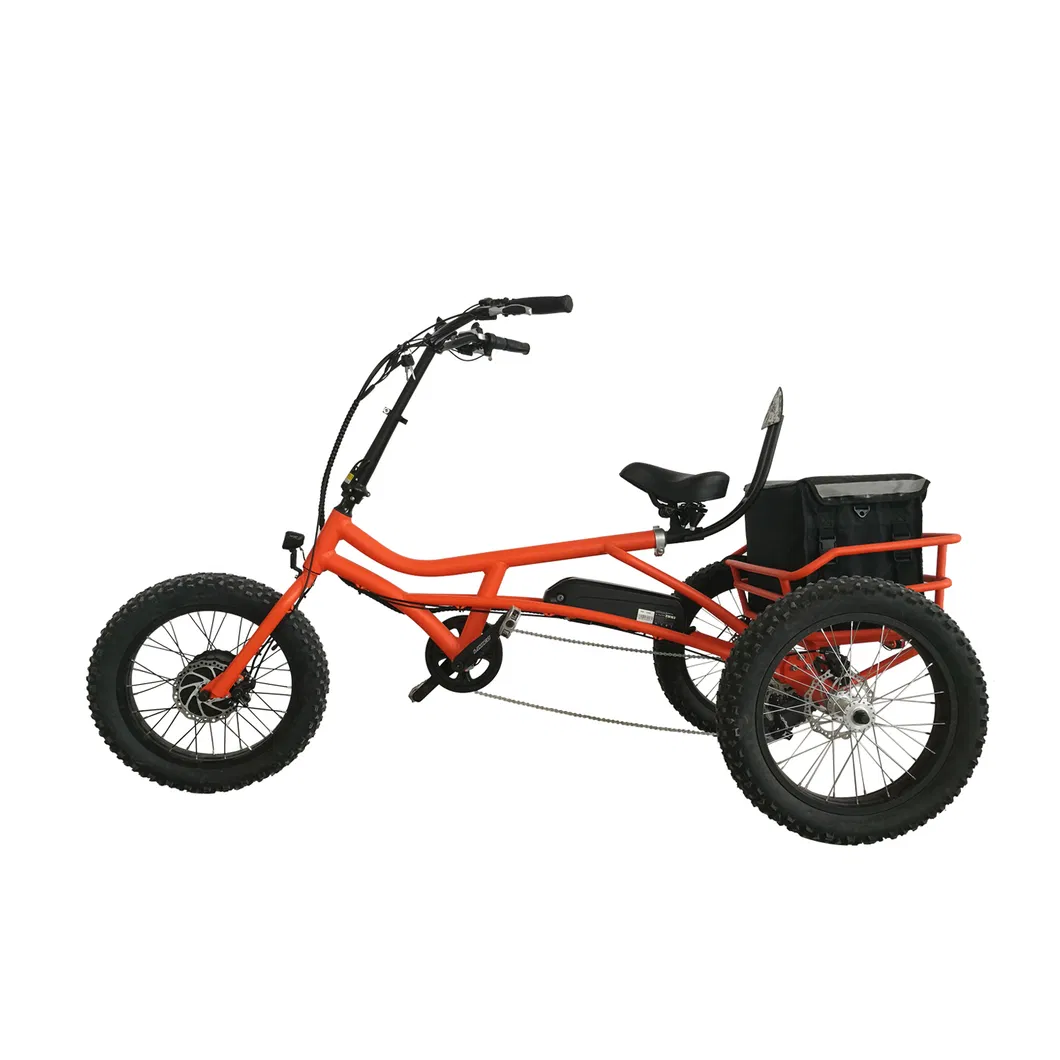 Aluminum Alloy 48V 500W 20 Inch Fat Tire Lithium Power Electric Tricycle