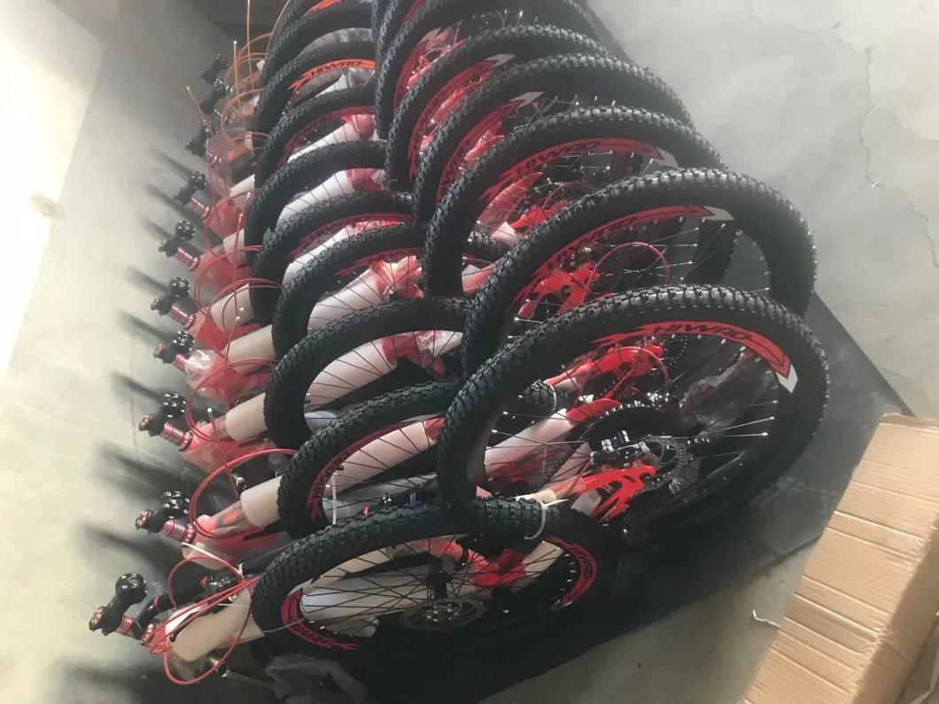 Aluminum Alloy Frame and Handlebar Kmc Chain Mountain Bicycle (031H)