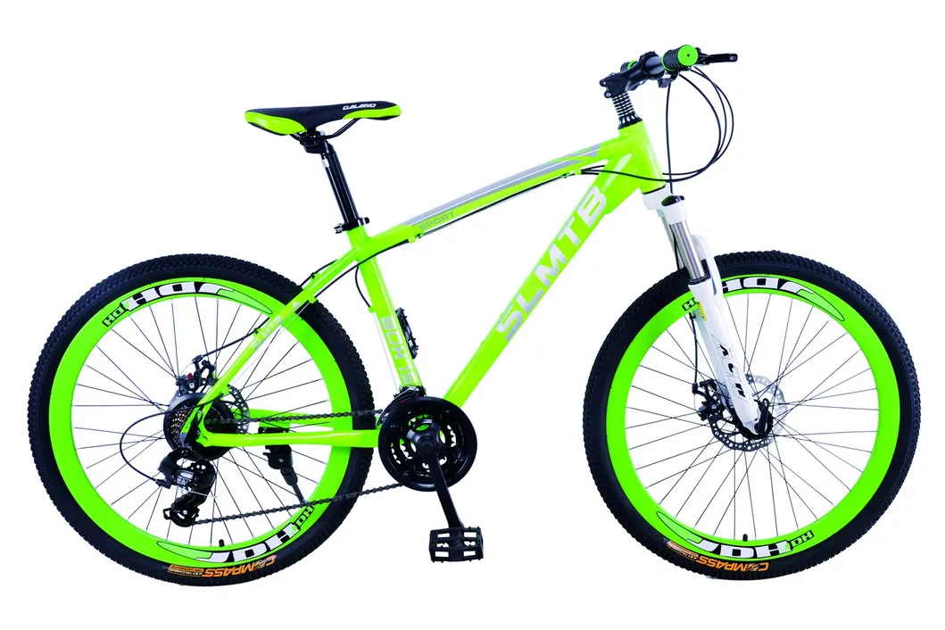 Aluminum Alloy Frame and Handlebar Kmc Chain Mountain Bicycle (031H)