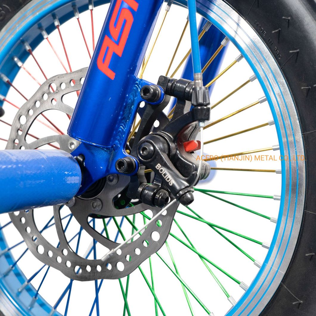 Aluminum Alloy Sport Snow Fat Tyre 16" Mountain Cycle Bike for Adult Men/ China Factory Manufacturer One Speed Disc Break OEM Customized Acceptable MTB Bicycle