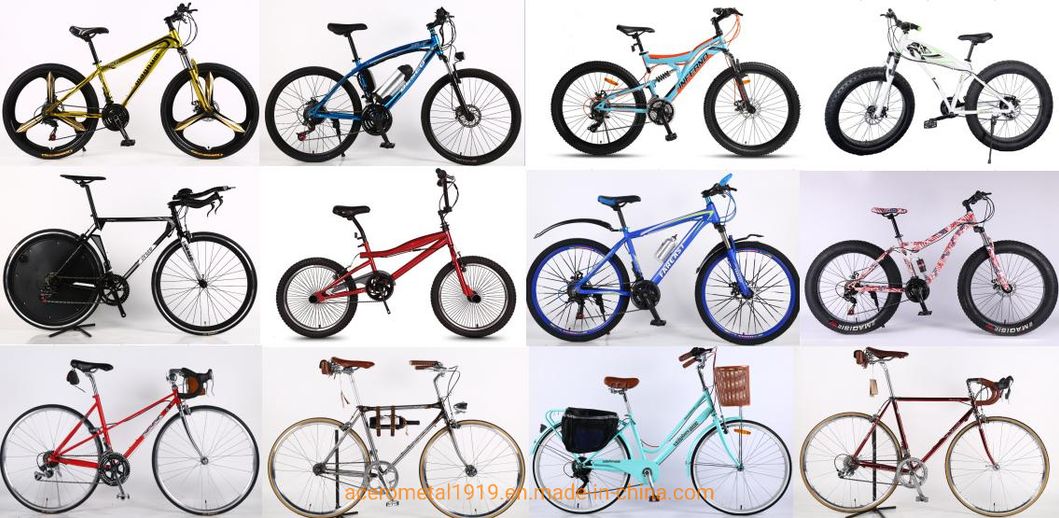 Aluminum Alloy Sport Snow Fat Tyre 16" Mountain Cycle Bike for Adult Men/ China Factory Manufacturer One Speed Disc Break OEM Customized Acceptable MTB Bicycle