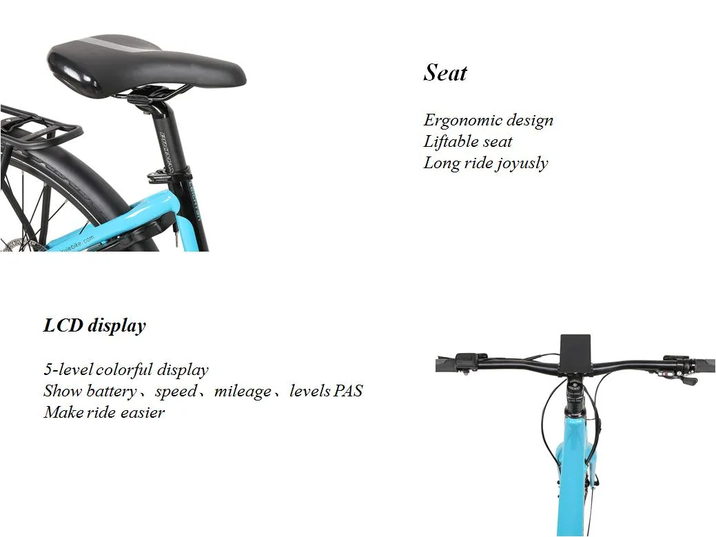Best Selling City Electric Bike 36V 250W 6061 Alloy Aluminum Frame Electric Bicycle 7 Gears E Bike