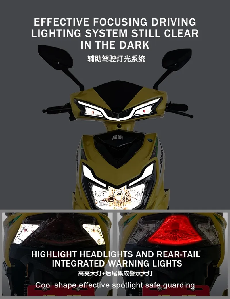 Bicycle Rickshaw for Elderly People Ebike Scooter 19ah 24” Fat Tire Electric Tricycle 48V 1000W