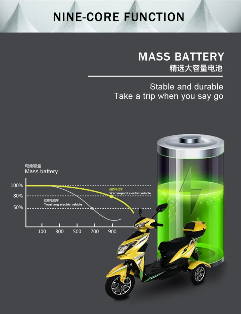 Bicycle Rickshaw for Elderly People Ebike Scooter 19ah 24” Fat Tire Electric Tricycle 48V 1000W