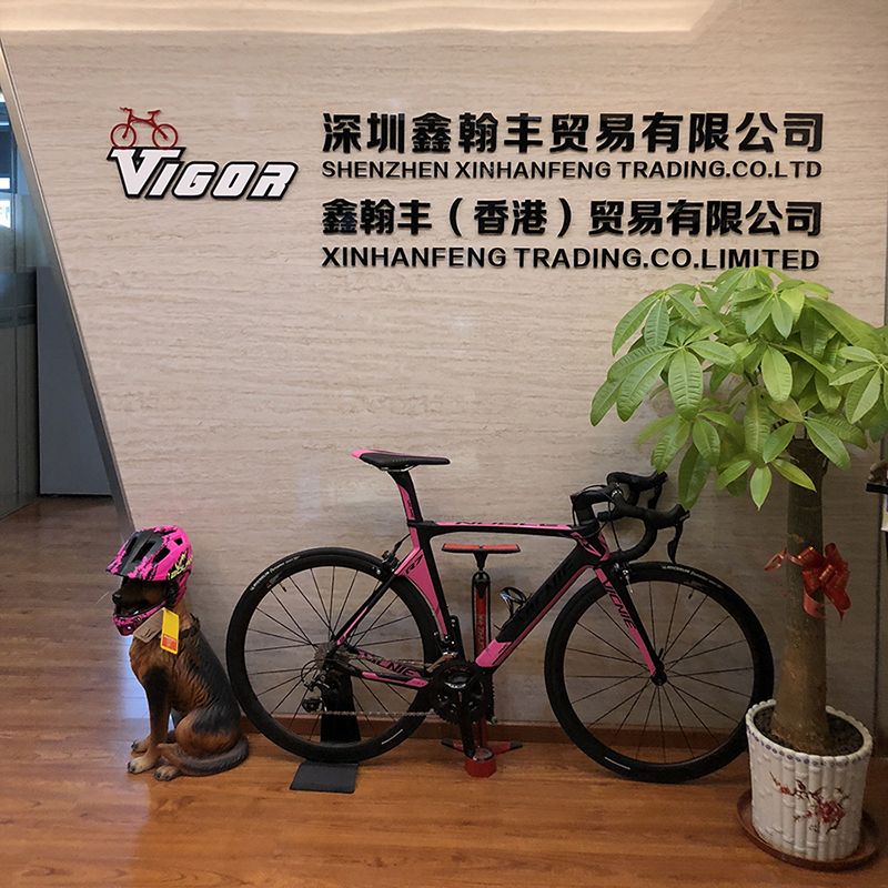 Bike Parts Alloy Bicycle Rear Luggage Carrier (HCR-122)