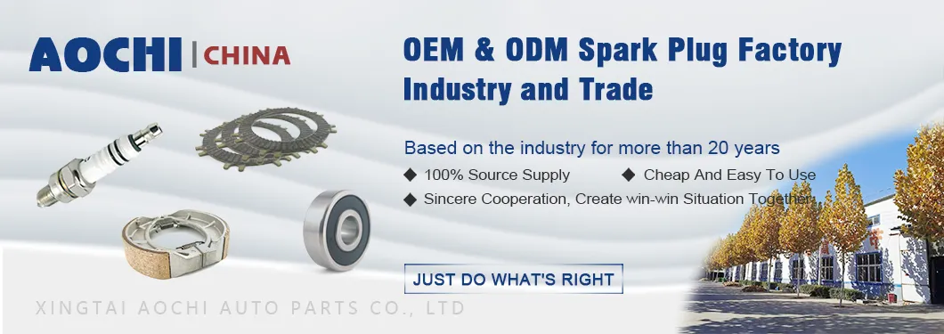 Black Motorcycle Spark Parts Motorcycle Brake Shoe (WY)