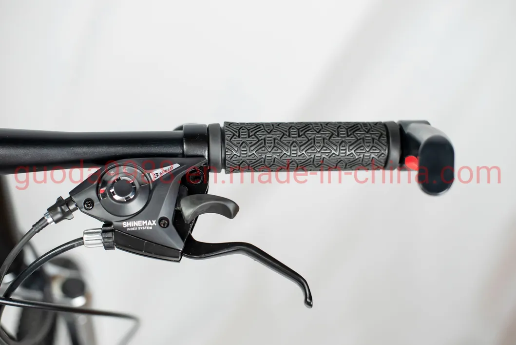 Black Mountain Bicycle with 26 Inches 24 Speed Steel Frame Sport Bike