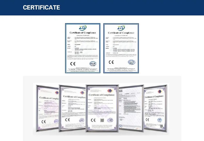 Latest Mountain Bike MTB New Design Mountain Bicycle