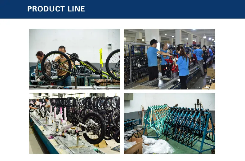 Latest Mountain Bike MTB New Design Mountain Bicycle