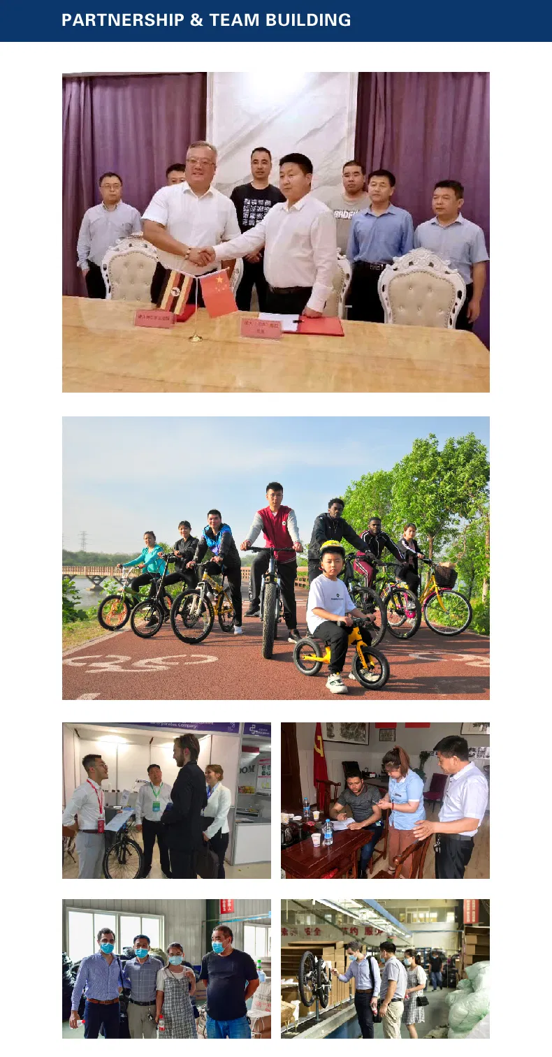 Latest Mountain Bike MTB New Design Mountain Bicycle