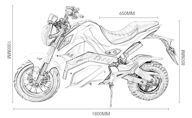 Cheap Popular Multifunctional 2000W Adult Electric Motorcycle for Sale