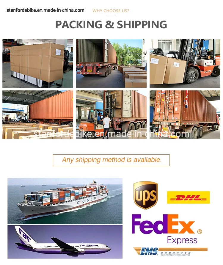 China Long Battery Life Stf-4 500W 48V 15ah Electric Folding Electric Bicycle