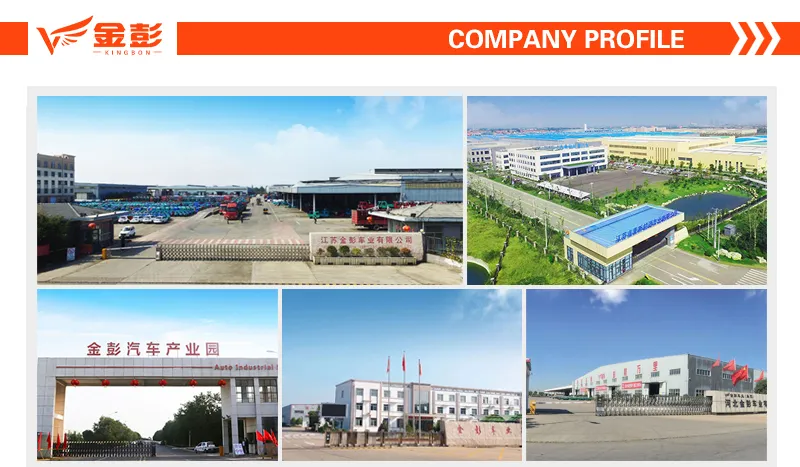 Chinese Jinpeng 3 Wheel Electric Vehicle for Post