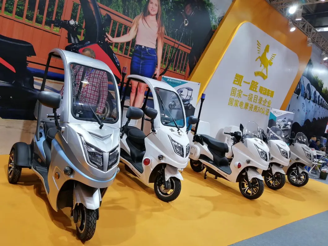 Citycoco Harley 3wheel Tricycle Vehicle 8000W Elektrikli Motor Scooters for Adults Electrico Vespa Electric Scooter Motorcycles