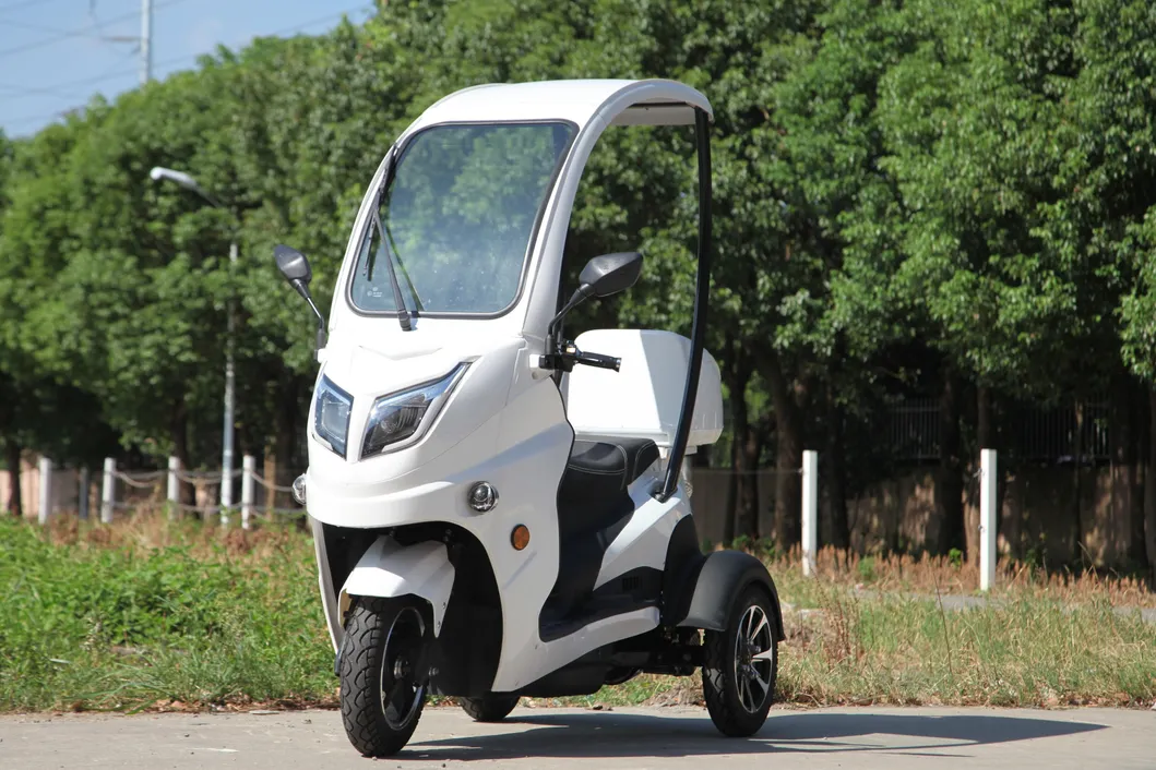 Citycoco Harley 3wheel Tricycle Vehicle 8000W Elektrikli Motor Scooters for Adults Electrico Vespa Electric Scooter Motorcycles