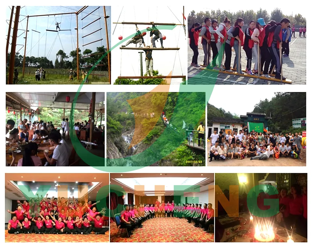 Double Seat Fast Speed Big Wheel Electric Scooter Motor Citycoco Electric Scooter