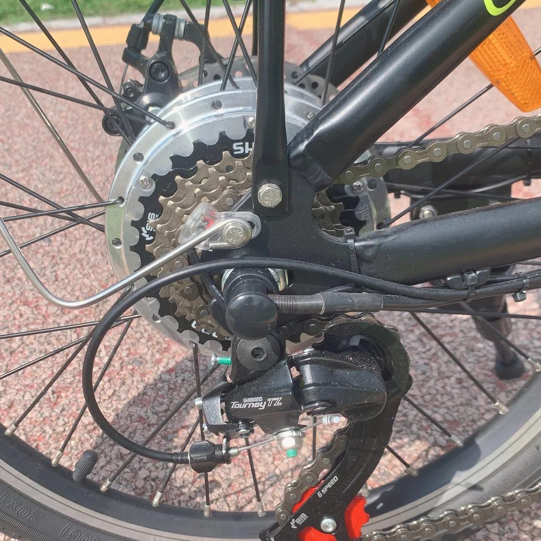 E Bike Foldable Citybike Folding Motorcycle Green City Electric Bikes 36V 250W 350W 500W