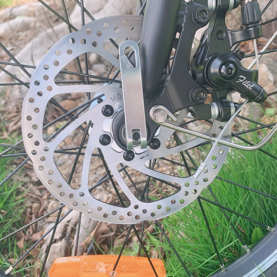 E Bike Foldable Citybike Folding Motorcycle Green City Electric Bikes 36V 250W 350W 500W