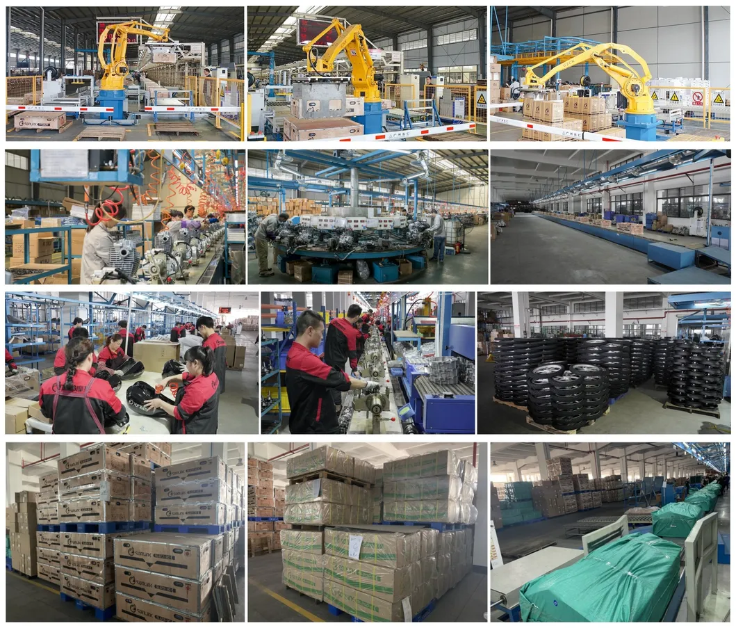 Ecomonic Racing Alloy Wheel125cc/150cc/200cc Sportive Street Motorbike/ Motorcycle (SL200-8)