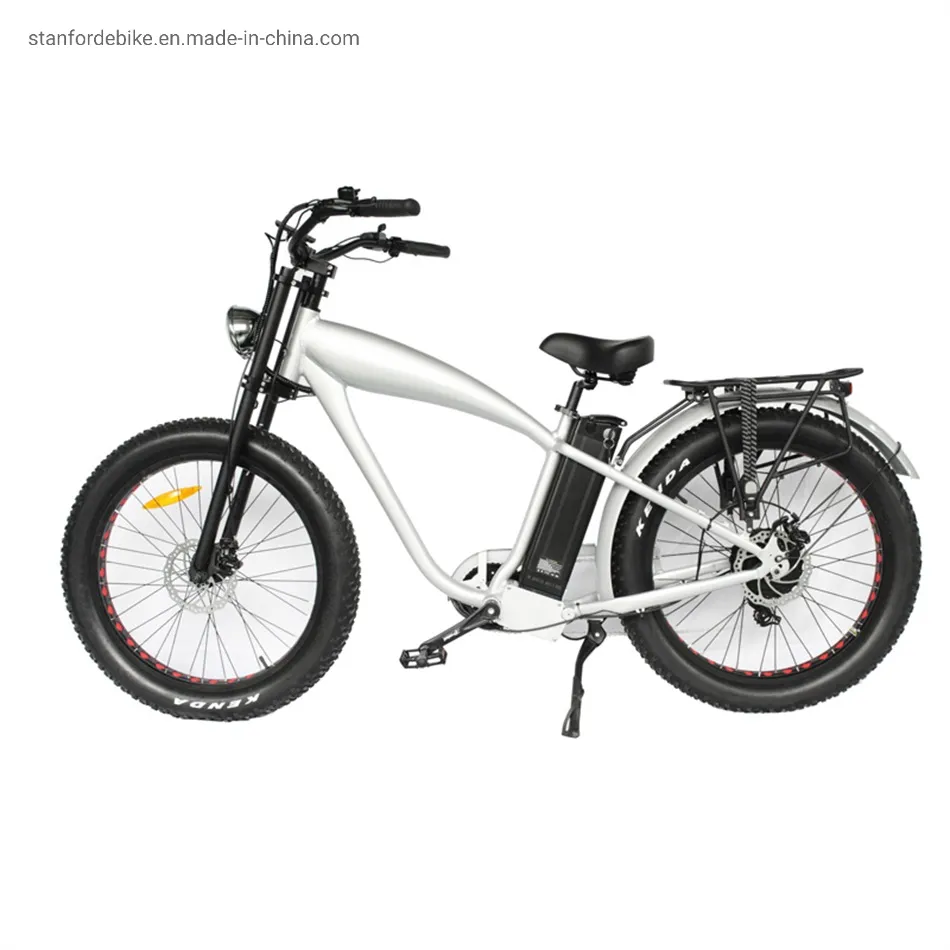 Electric Bicycle 2021 New Design Stf-2 500W MID Drive Electric Power Assisted Light Weight Bicycle