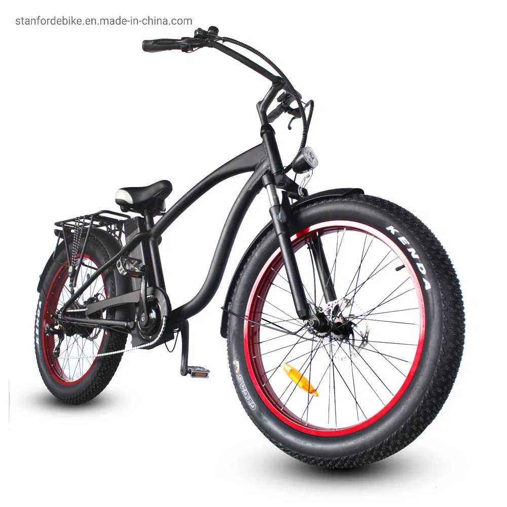 Electric Bicycle 2021 New Design Stf-2 500W MID Drive Electric Power Assisted Light Weight Bicycle