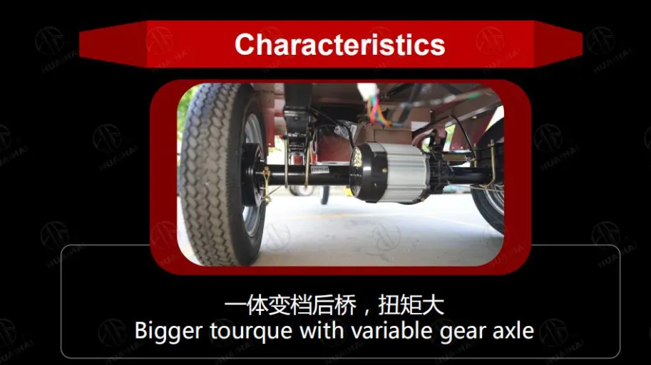 Electric Bicycle 3 Wheel Tricycle 1000W Mechanical Brake