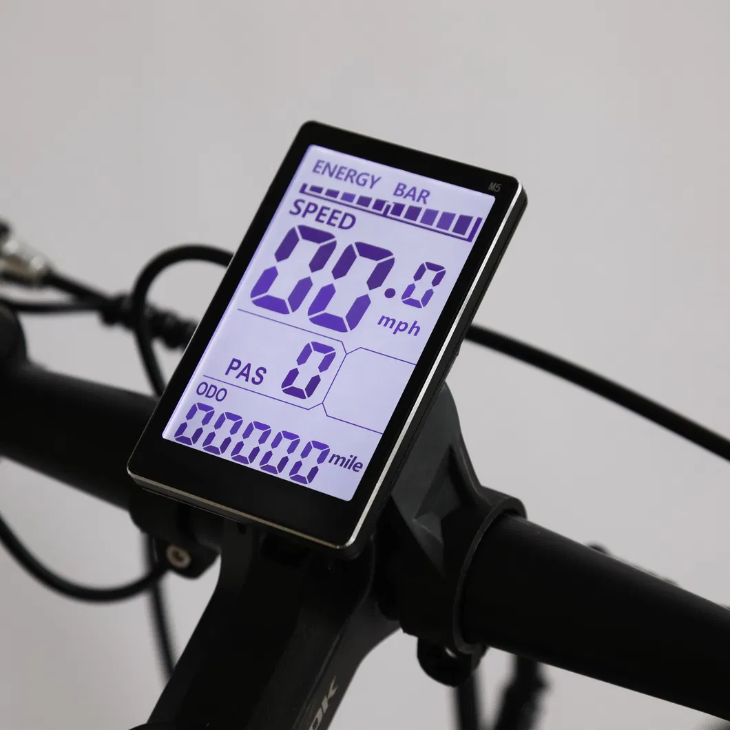 Electric City Bike 48V E Bicycle MTB Full Suspension Fat Tyre Ebike for Adult