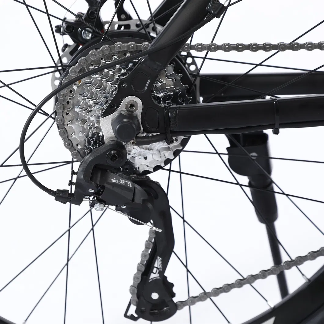 Electric City Bike 48V E Bicycle MTB Full Suspension Fat Tyre Ebike for Adult