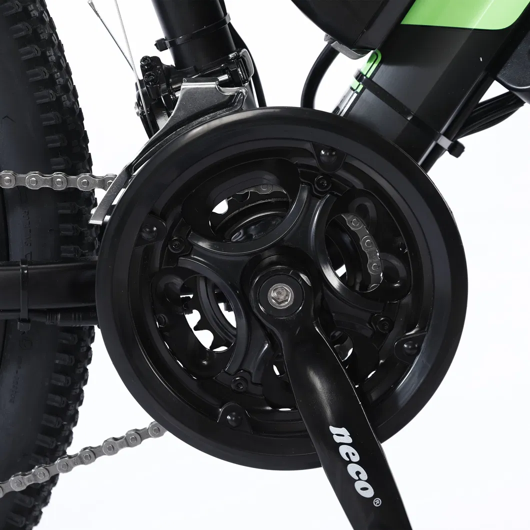 Electric City Bike 48V E Bicycle MTB Full Suspension Fat Tyre Ebike for Adult