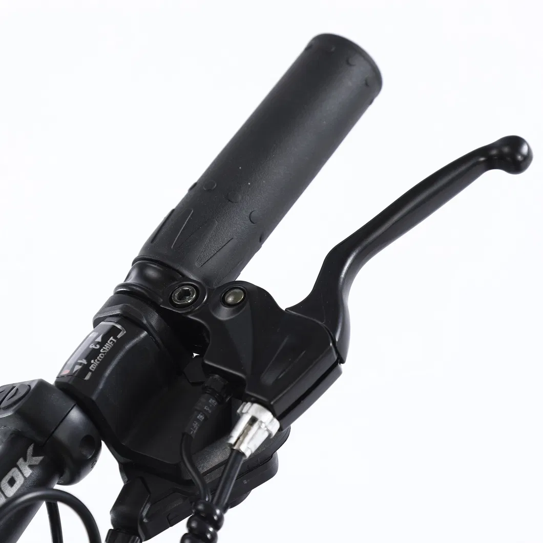 Electric City Bike 48V E Bicycle MTB Full Suspension Fat Tyre Ebike for Adult