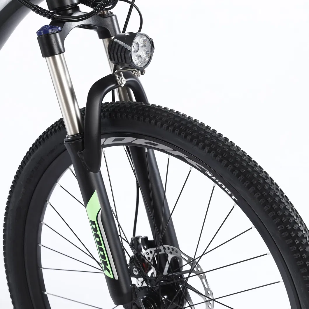 Electric City Bike 48V E Bicycle MTB Full Suspension Fat Tyre Ebike for Adult