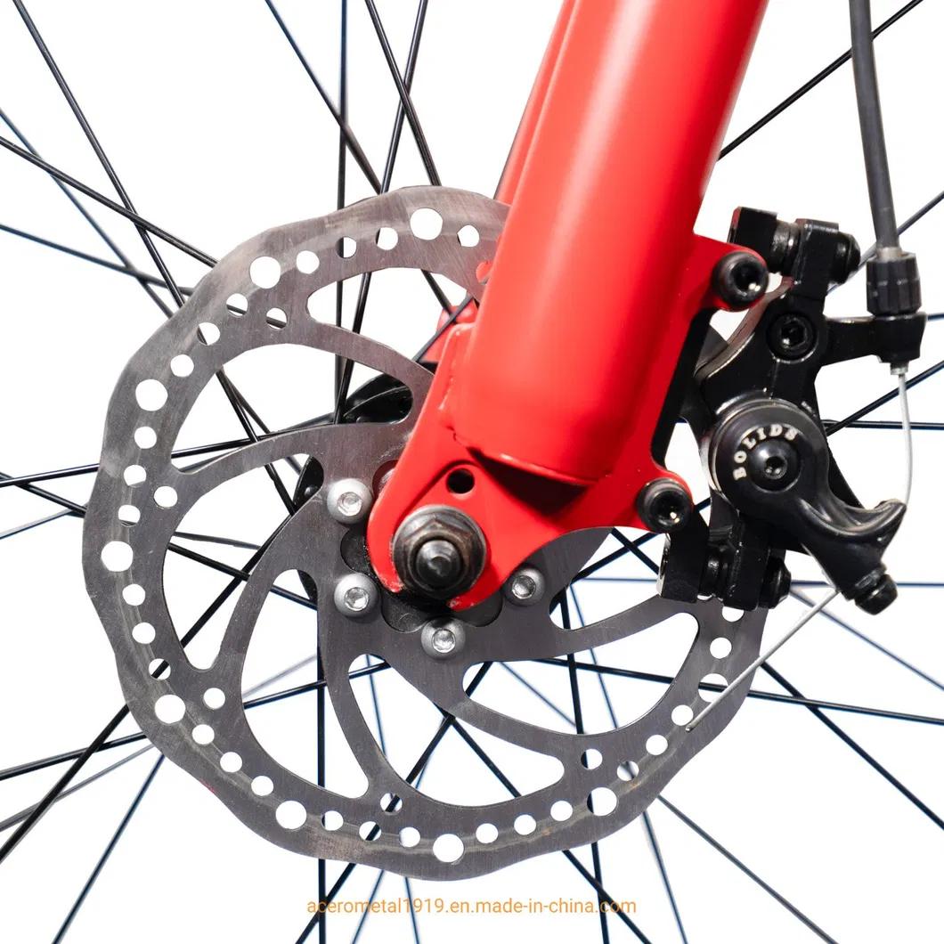 Electric Fat Tyre Mountain Bike China Factory 48V Battery Higher Quality 26 Inch Color Customized Wholesale Changeable Acceptable Mountain Bicycle for Adult Men