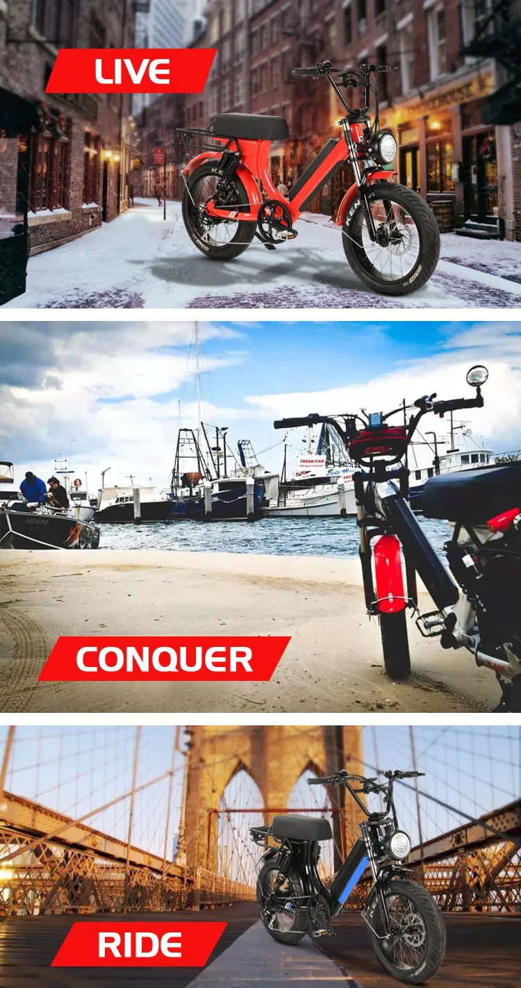 EU Warehouse Adult Fat Tyre Easy Rider 48V 1000W Electric Bike