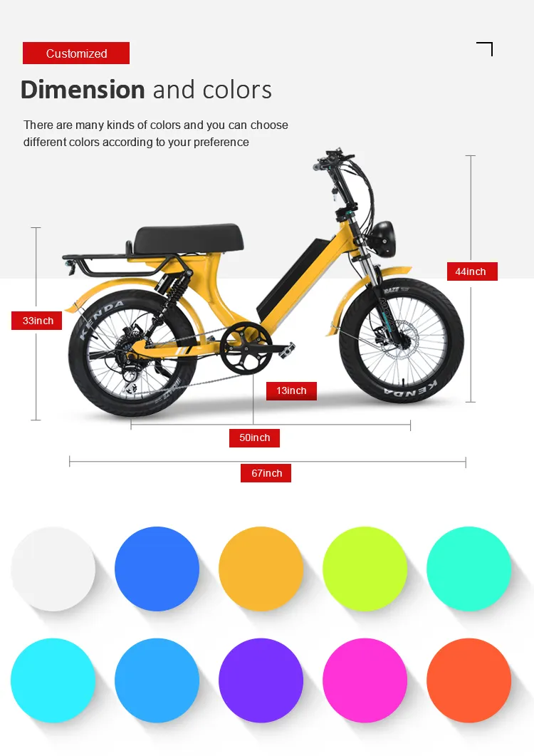 EU Warehouse Adult Fat Tyre Easy Rider 48V 1000W Electric Bike